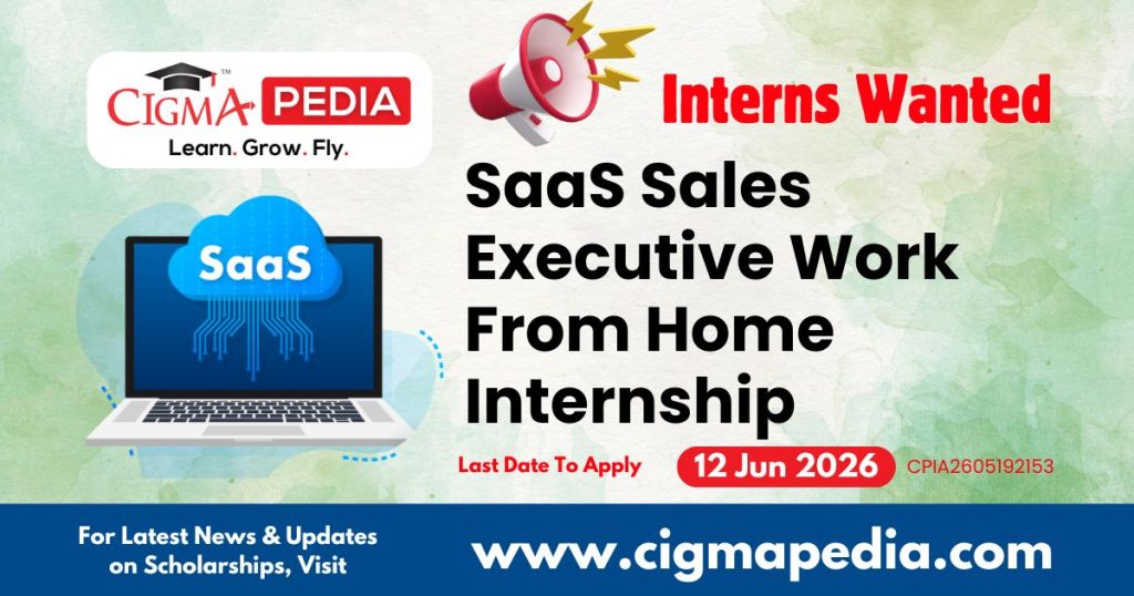 SaaS Sales Executive Work From Home Internship
