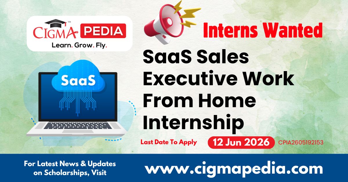 SaaS Sales Executive Work From Home Internship