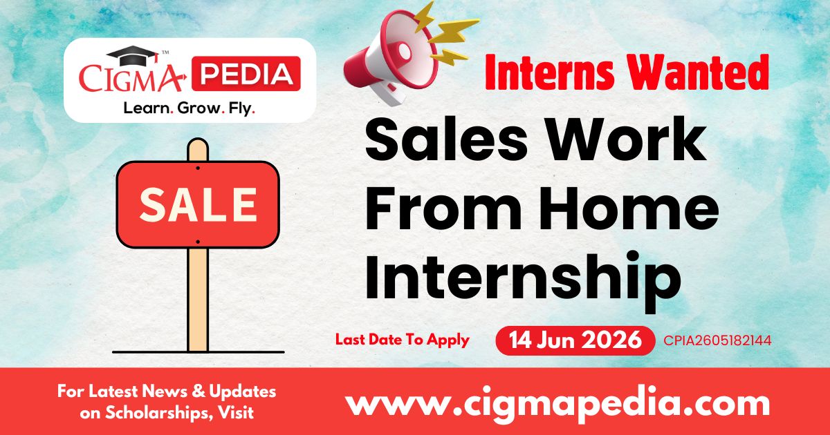Sales Work From Home Internship