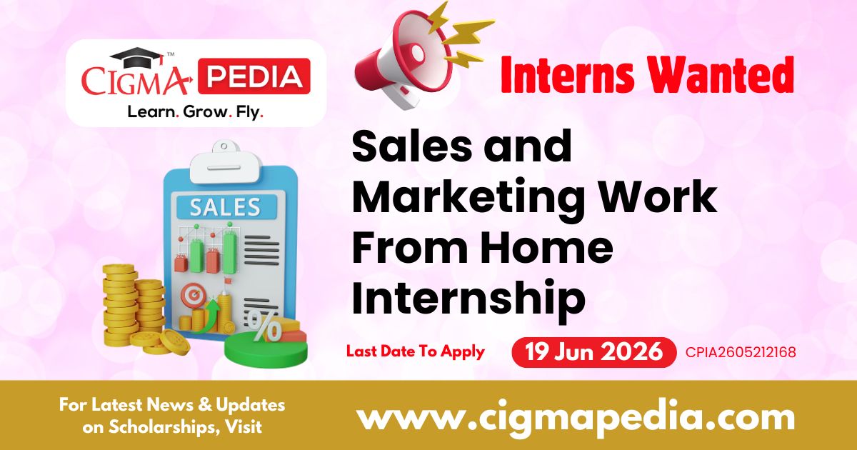 Sales and Marketing Work from Home Internship