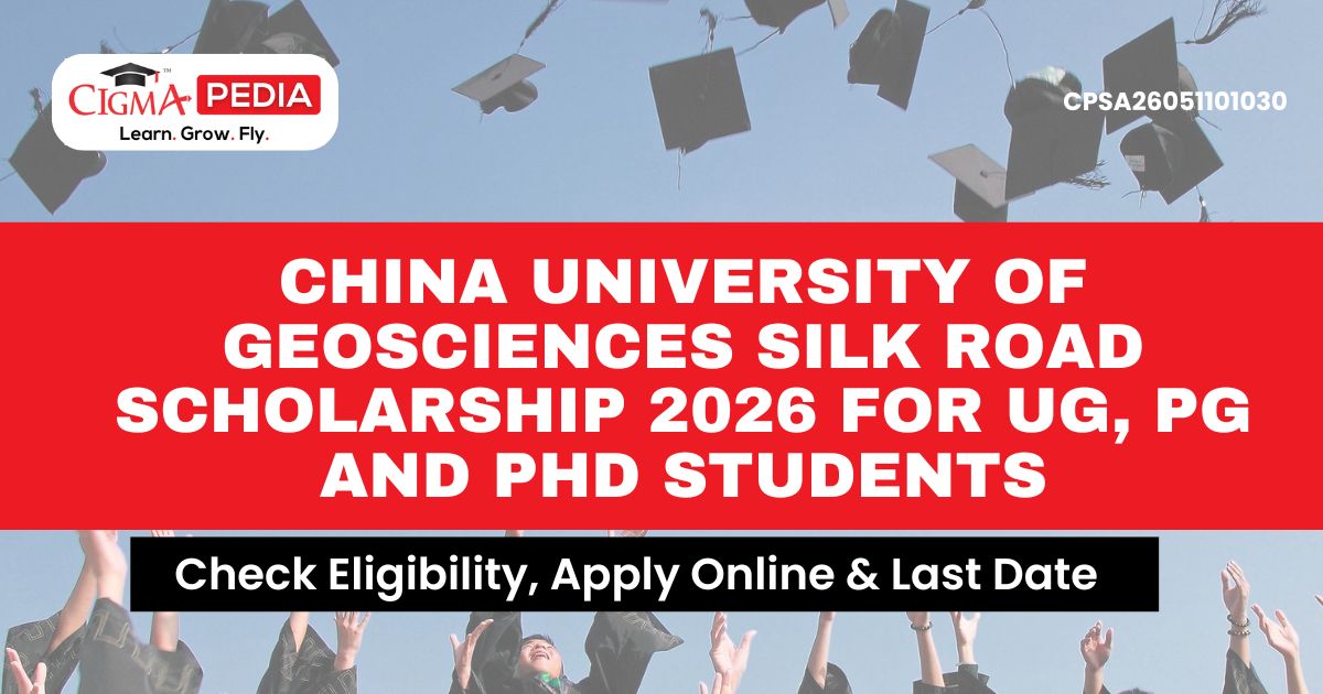 Silk Road Scholarship
