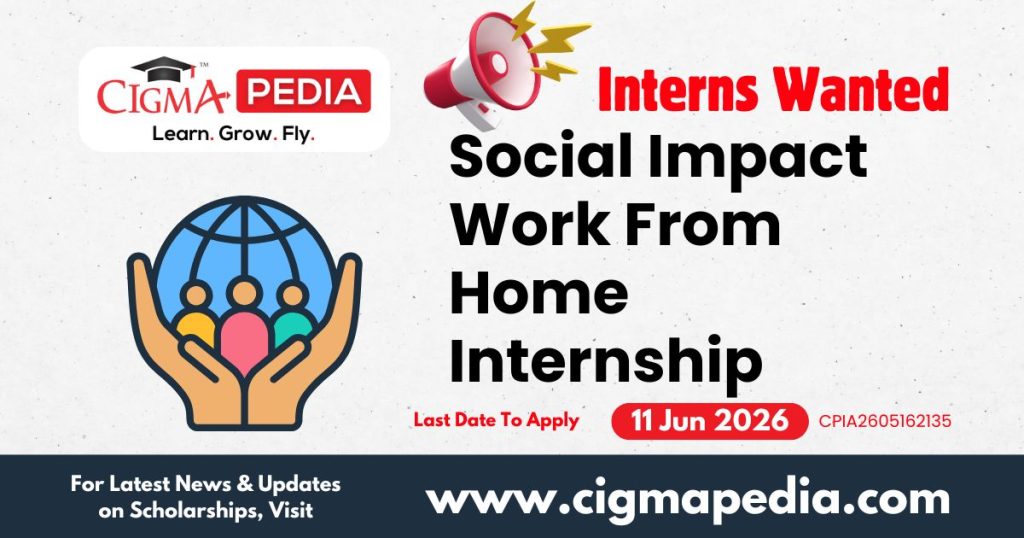 Social Impact Work from Home Internship