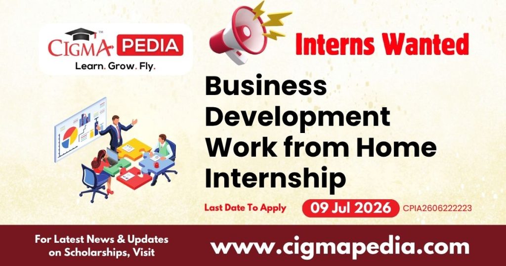 Business Development Work From Home Internship