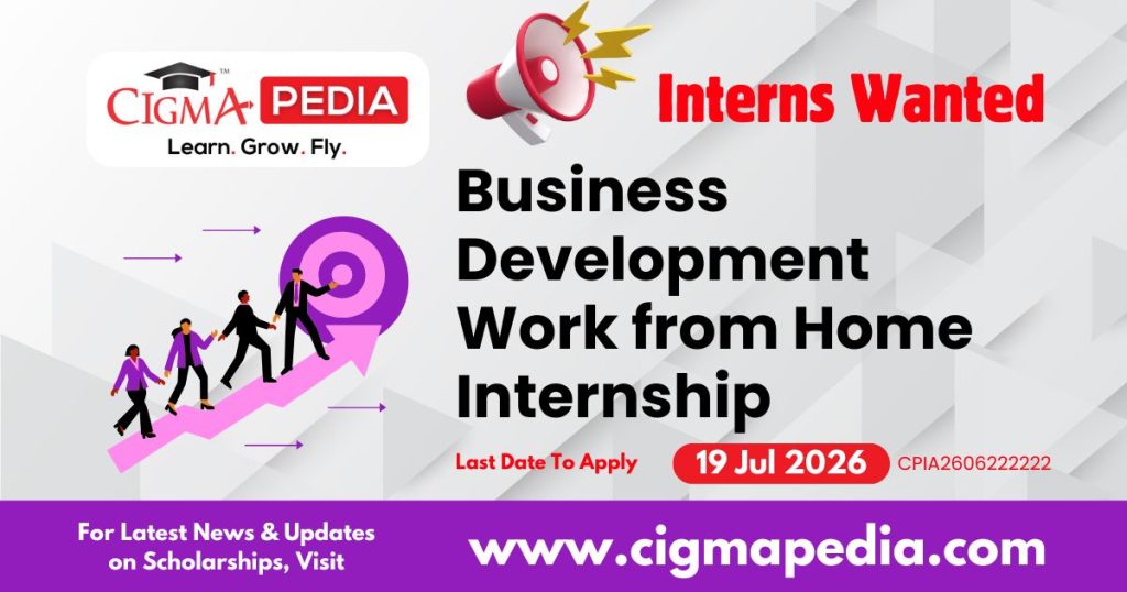 Business Development Work From Home Internship