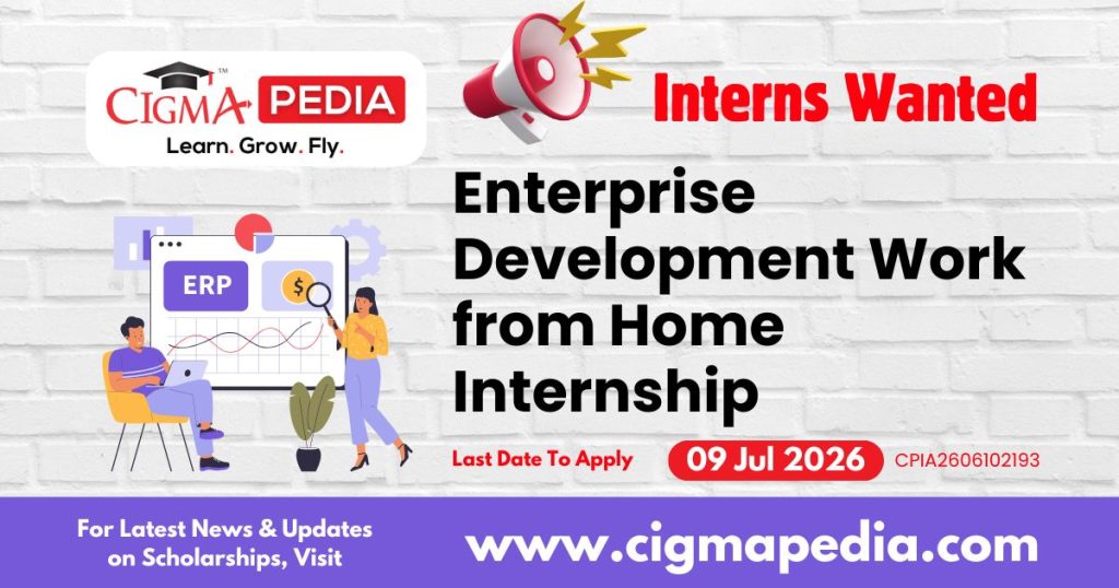 Enterprise Development Work from Home Internship