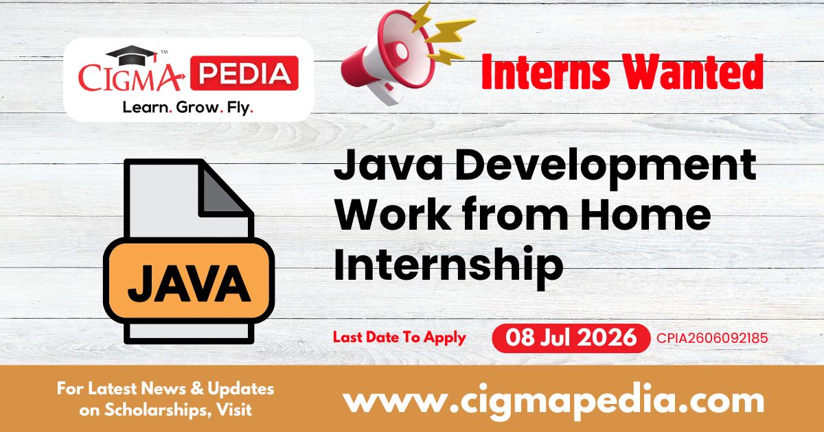 Java Development Work from home internship