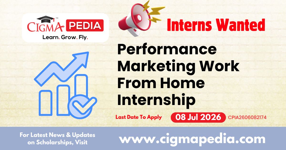 Performance Marketing Work From Home Internship