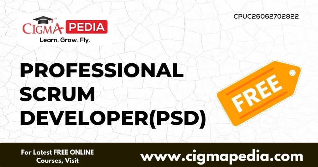 Professional Scrum Developer