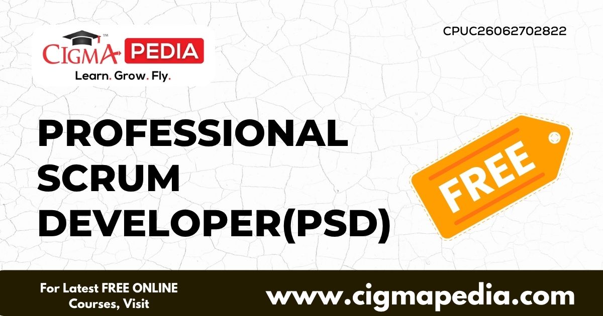 Professional Scrum Developer