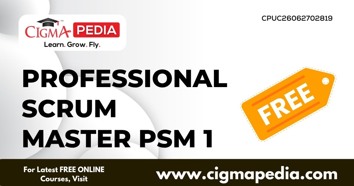 Professional Scrum Master