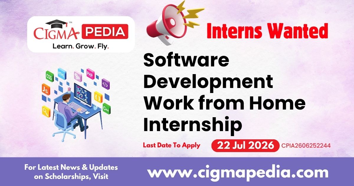 Software Development Work from Home Internship