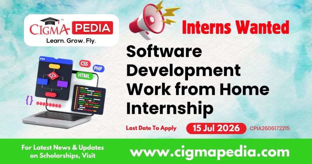 Software Development Work from Home Internship