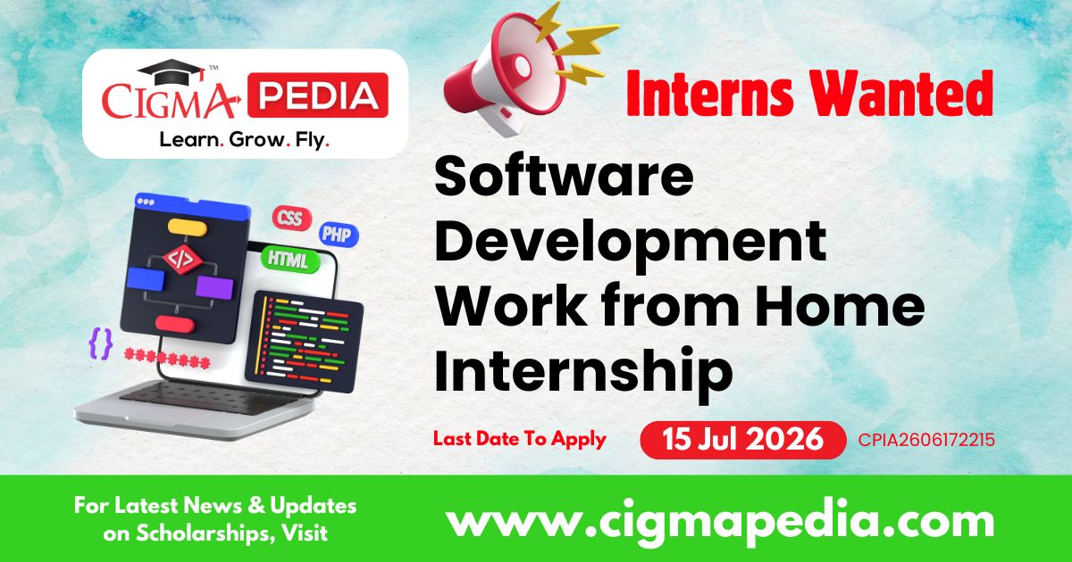 Software Development Work from Home Internship