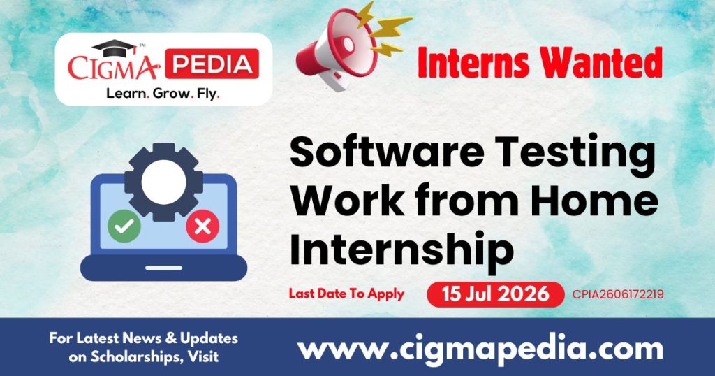 Software Testing Work from Home Internship