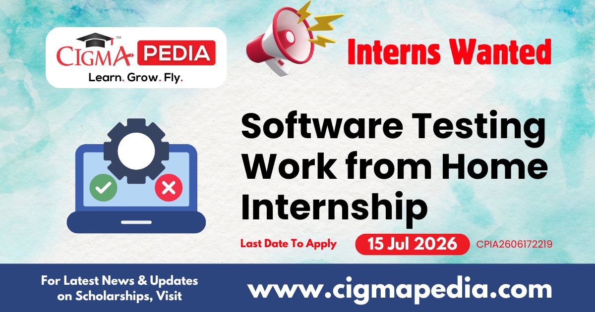 Software Testing Work from Home Internship