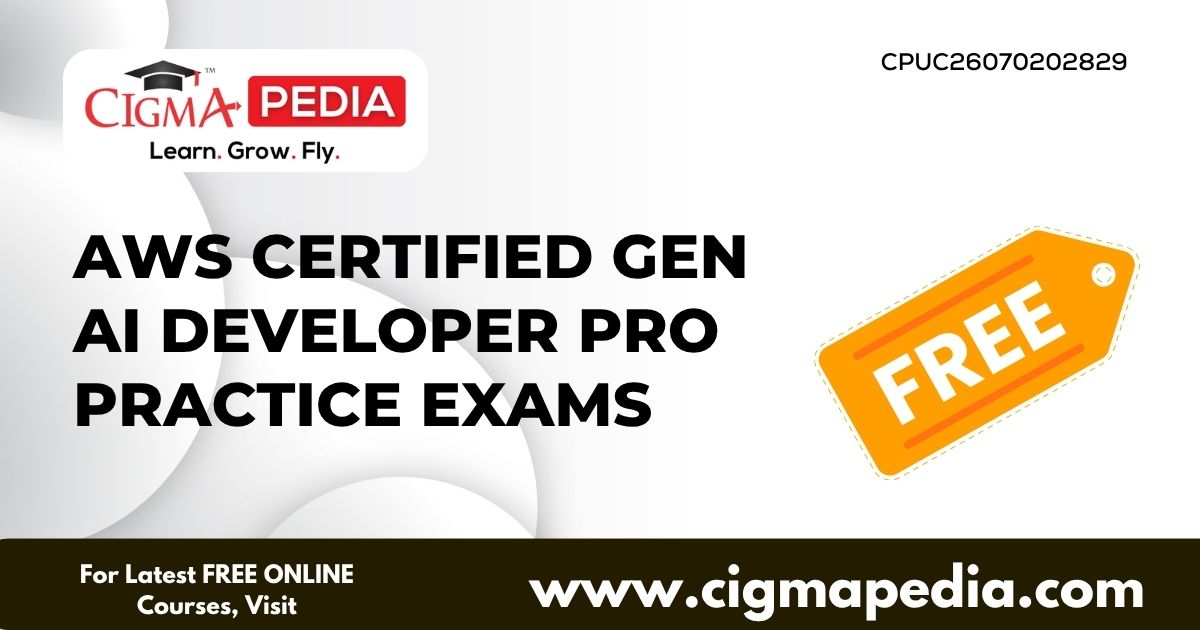 AWS Certified Gen AI Developer Pro Practice Exams
