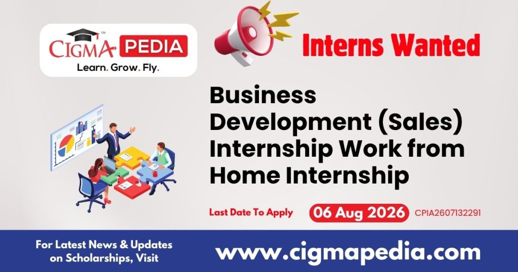 Business Development (Sales) Internship Work from Home Internship