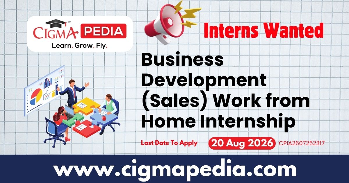 Business Development (Sales) Work From Home Internship