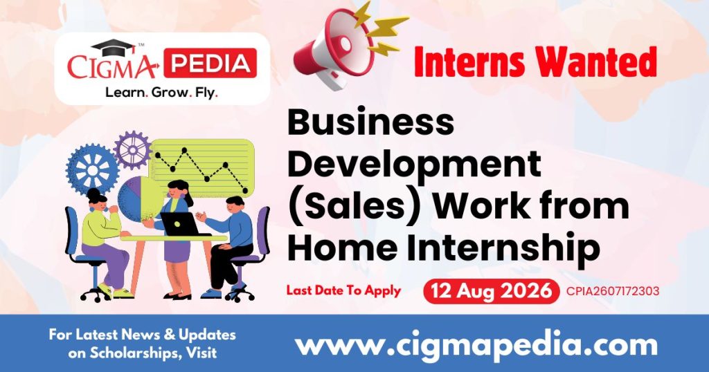 Business Development (Sales) Work From Home Internship
