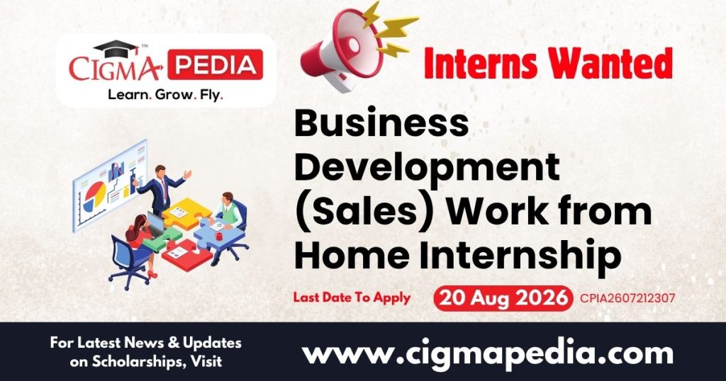 Business Development (Sales) Work From Home Internship