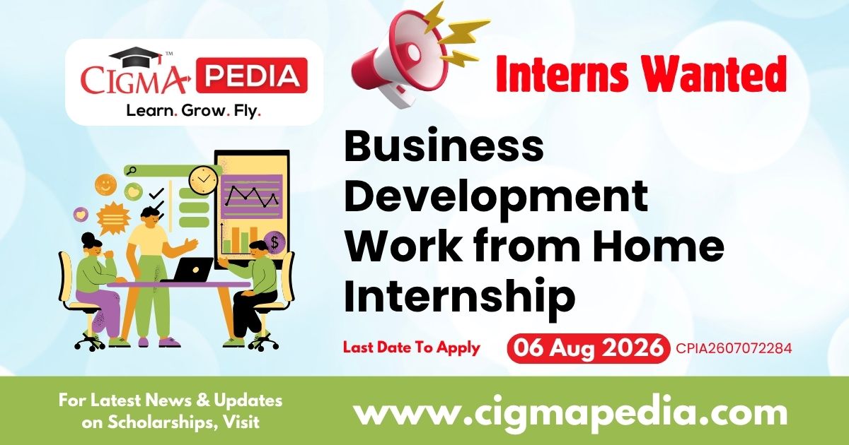 Business Development Work From Home Internship