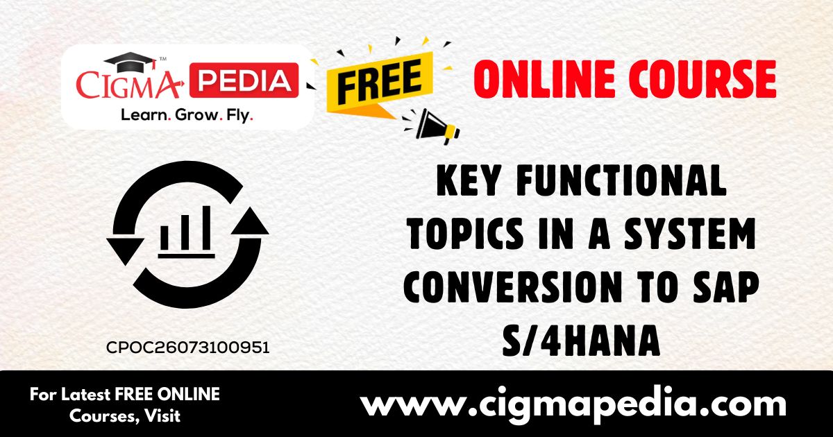Key Functional Topics in a System Conversion to SAP