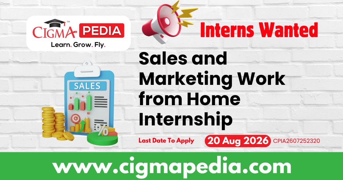 Sales and Marketing Work from Home Internship