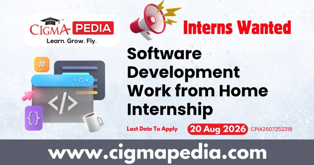 Software Development Work from Home Internship