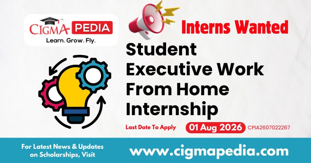 Student Executive Work From Home Internship