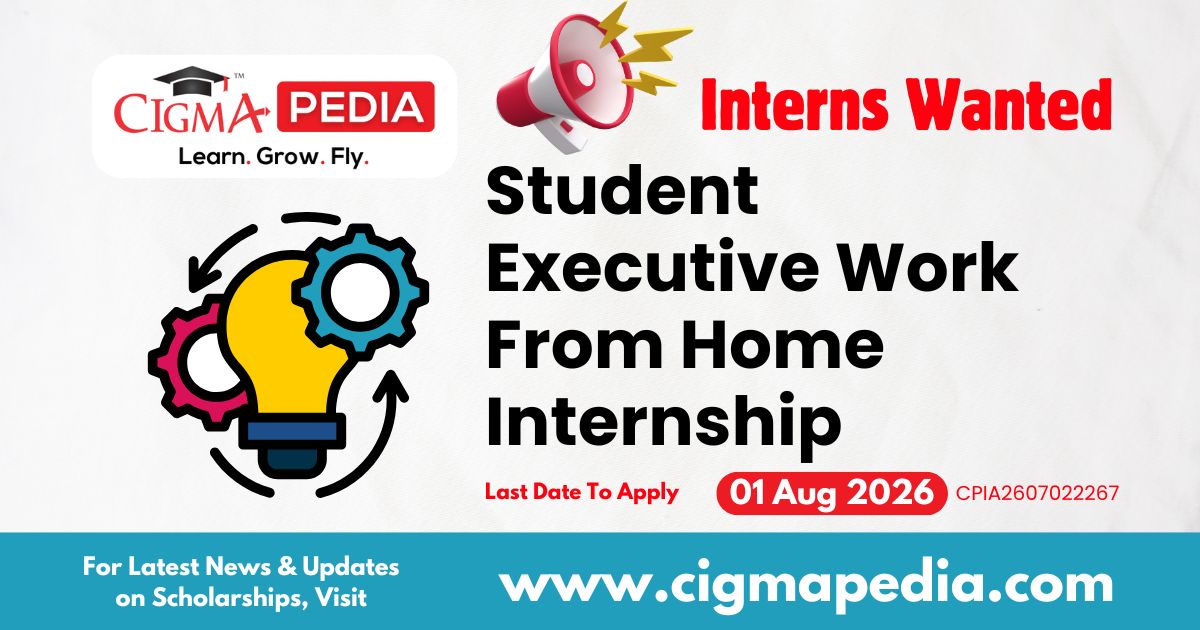 Student Executive Work From Home Internship