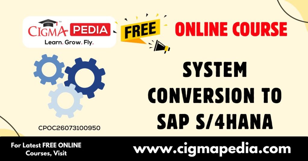 System Conversion