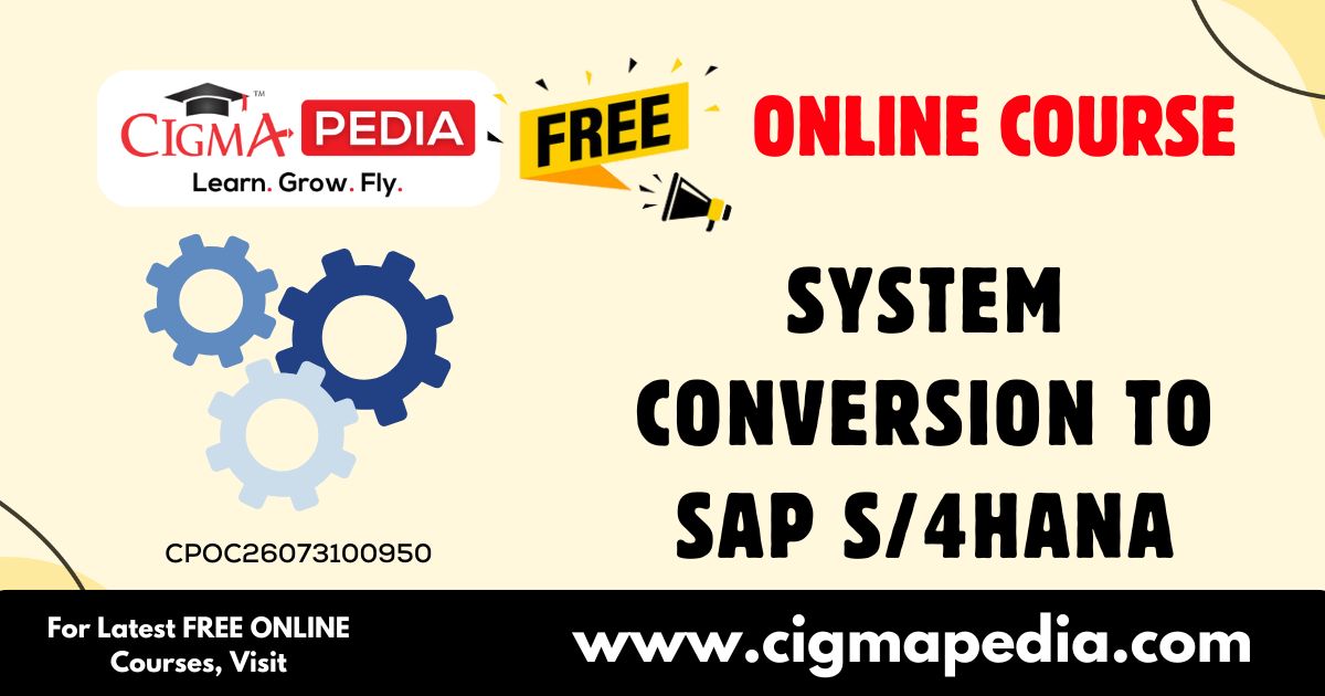 System Conversion