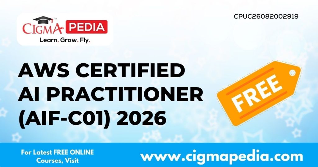 AWS Certified AI Practitioner