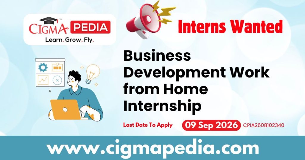 Business Development Work From Home Internship