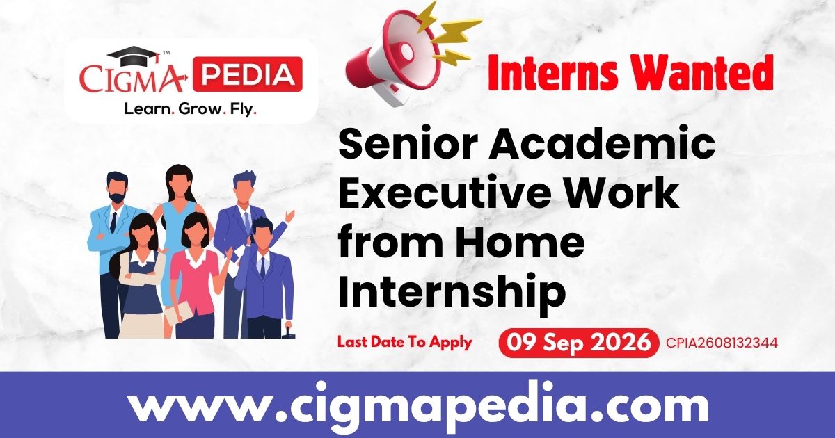 Senior Academic Executive Work from Home Internship