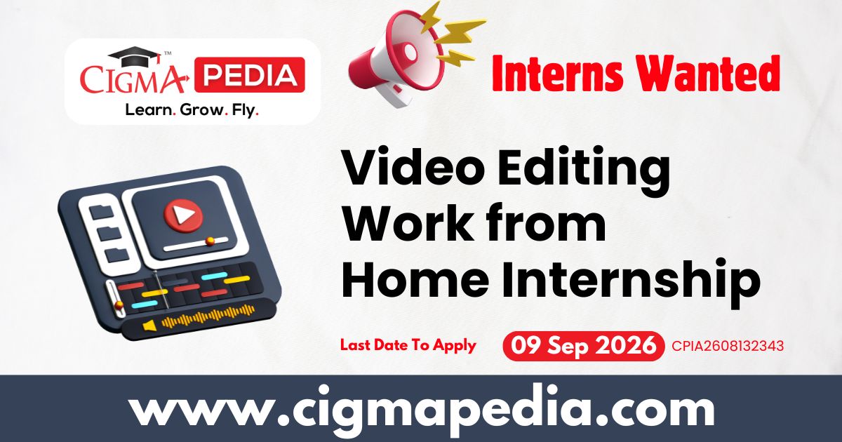 Video Editing Work from Home Internship
