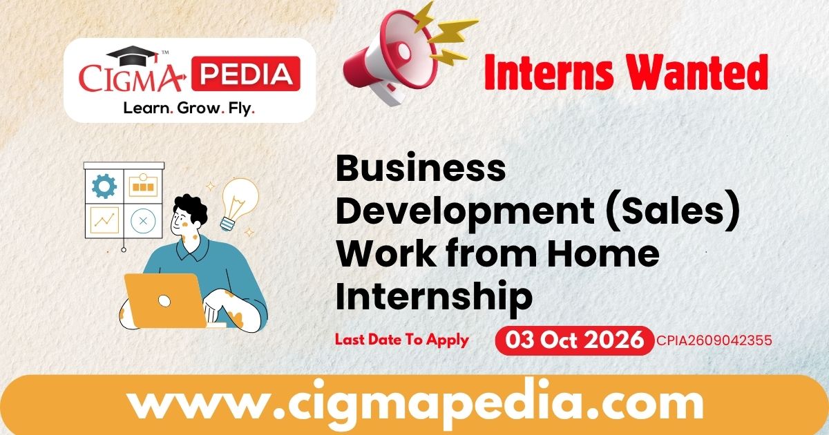 Business Development (Sales) Work from Home Internship