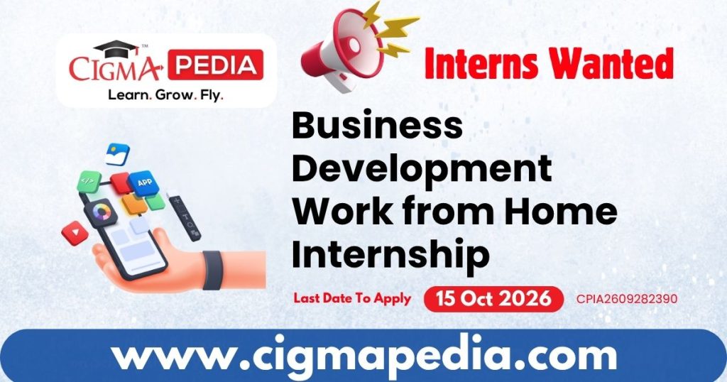 Business Development Work from Home Internship