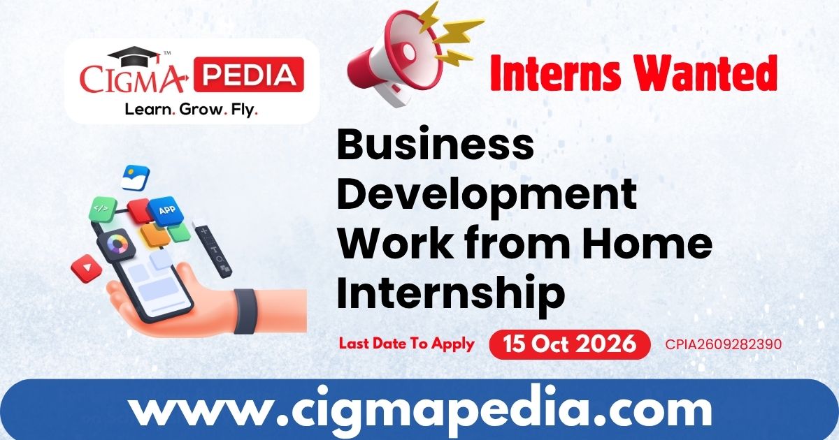 Business Development Work from Home Internship