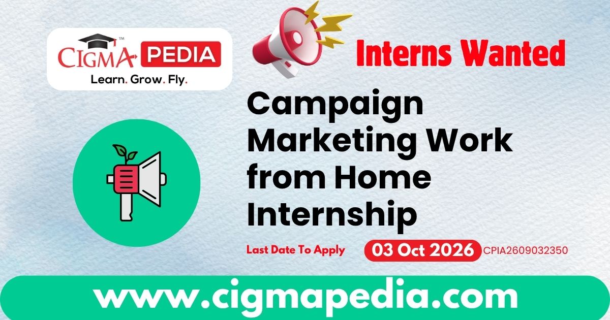 Campaign Marketing Work from Home Internship