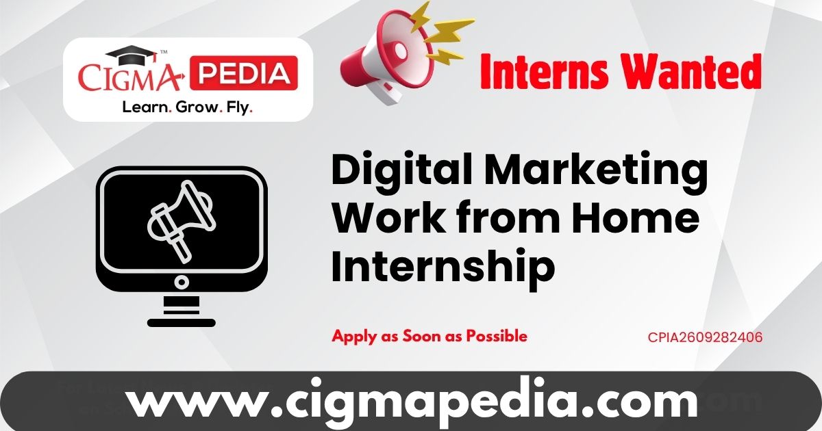 Digital Marketing Work from Home Internship