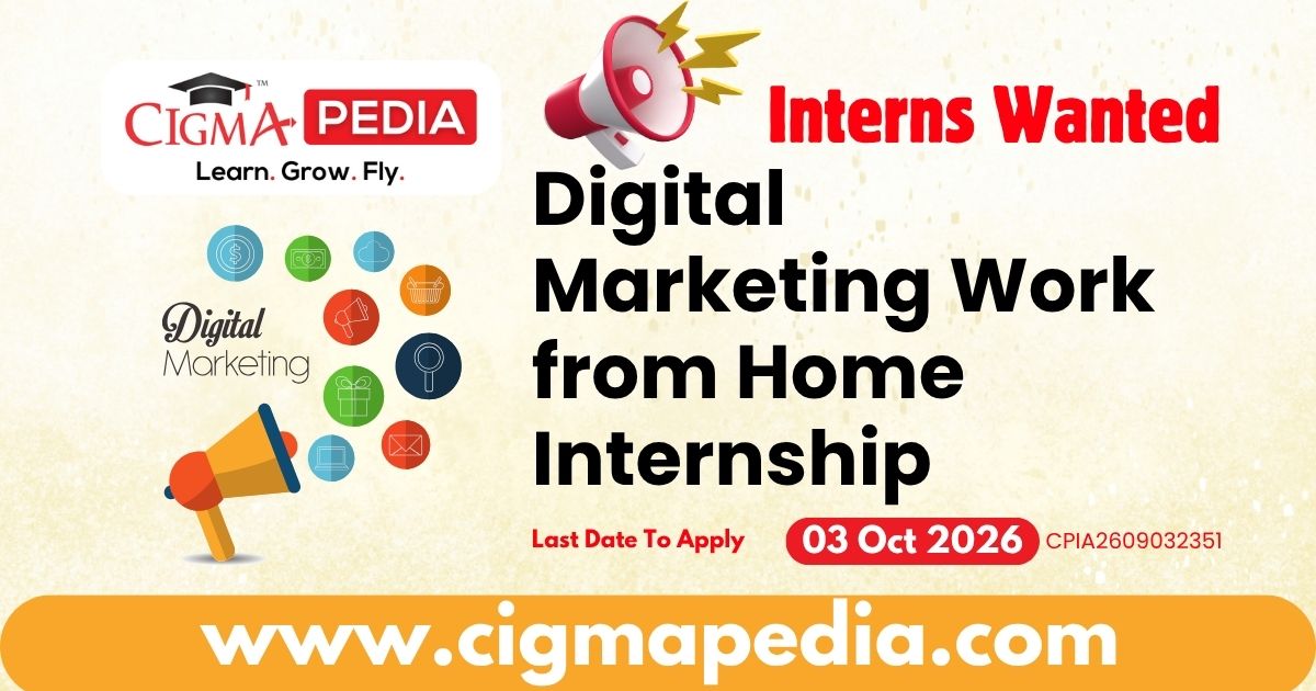 Digital Marketing Work from Home Internship