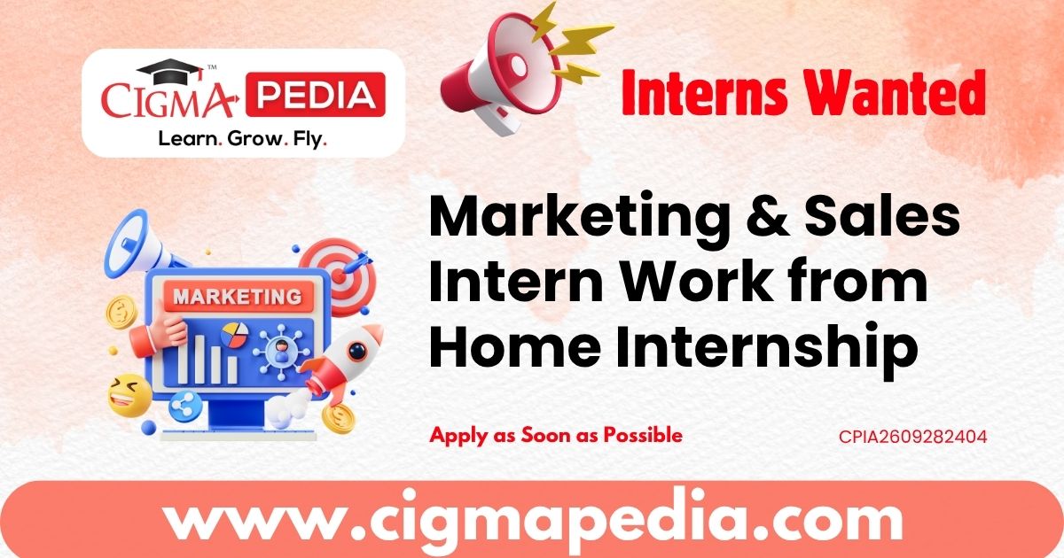 Marketing & Sales Intern Work from Home Internship