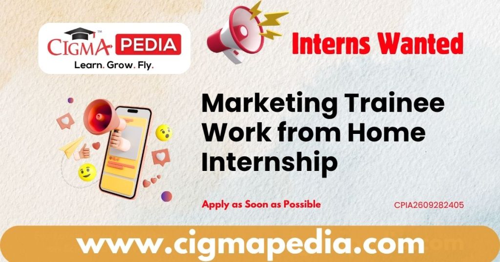 Marketing Trainee Work from Home Internship