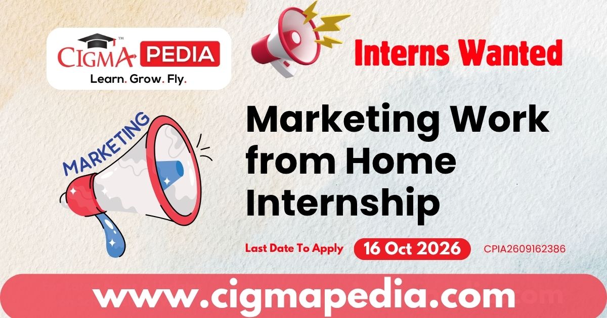 Marketing Work from Home Internship