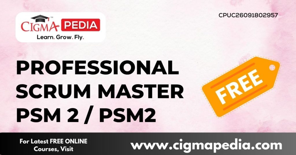 Professional Scrum Master