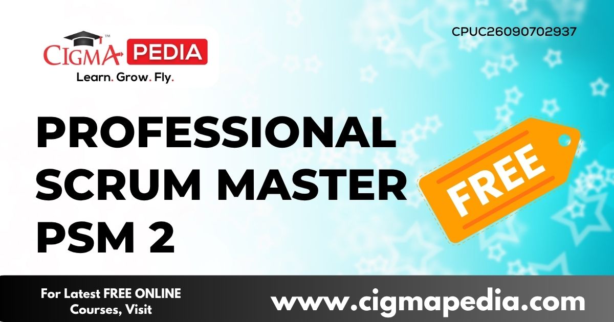 Professional Scrum Master