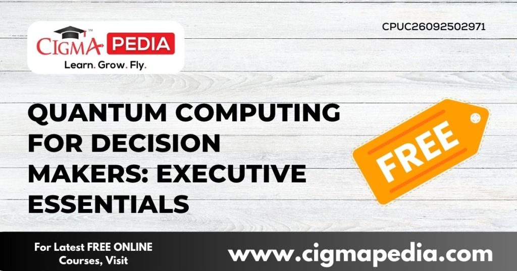 Quantum Computing for Decision Makers