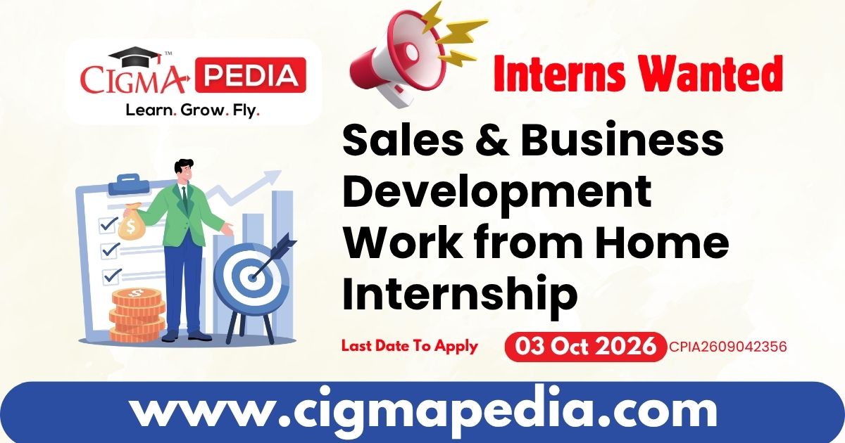 Sales & Business Development Work from Home Internship