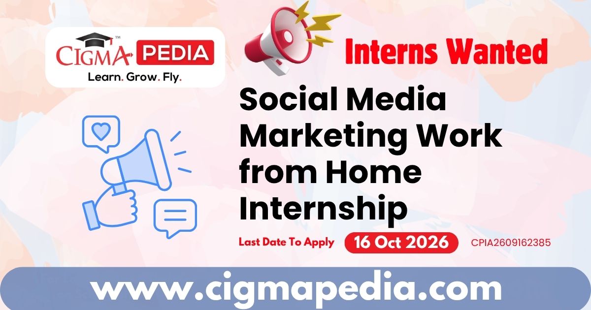 Social Media Marketing Work from Home Internship
